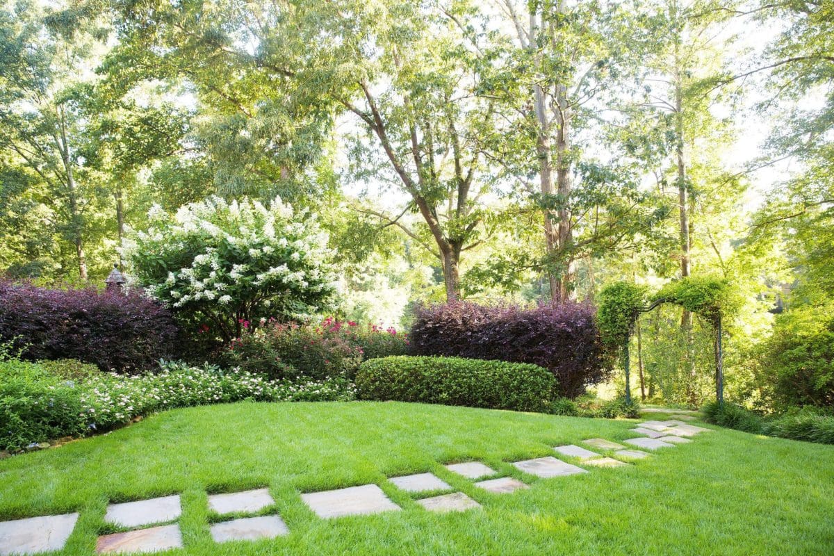 Spring Lawn Maintenance: A Comprehensive Guide