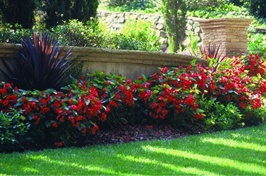 Seasonal Splendor A Fall Planting Guide for Landscapes