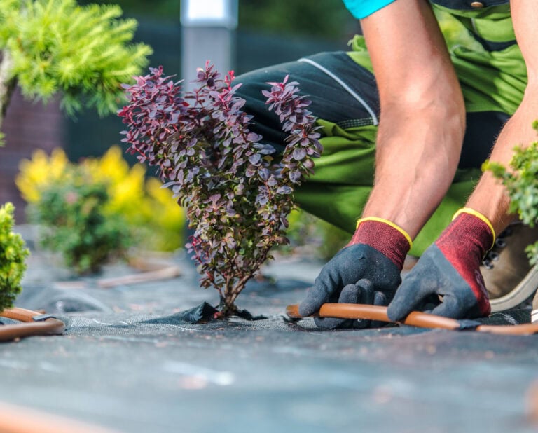 Dedicated Client Care