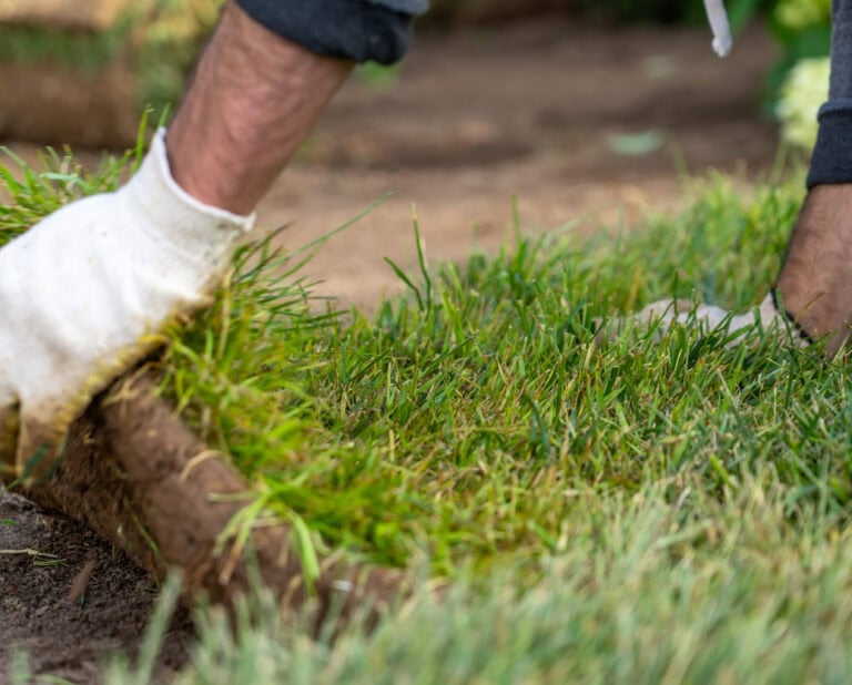 Concierge-Style Service