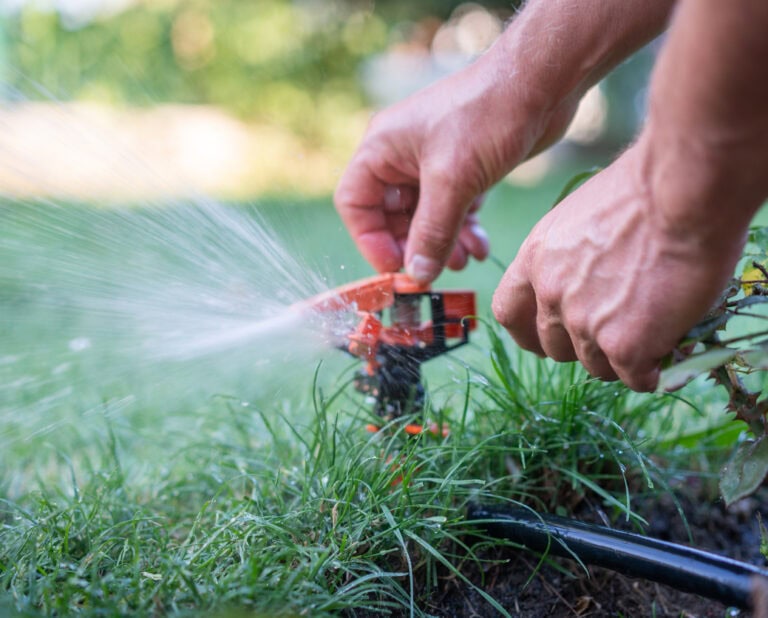 Unmatched Experience