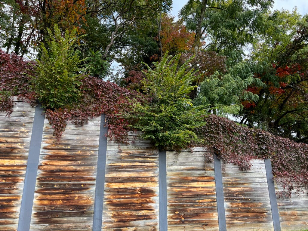 Retaining wall with shrubs on hill